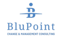 Klein BluPoint Logo